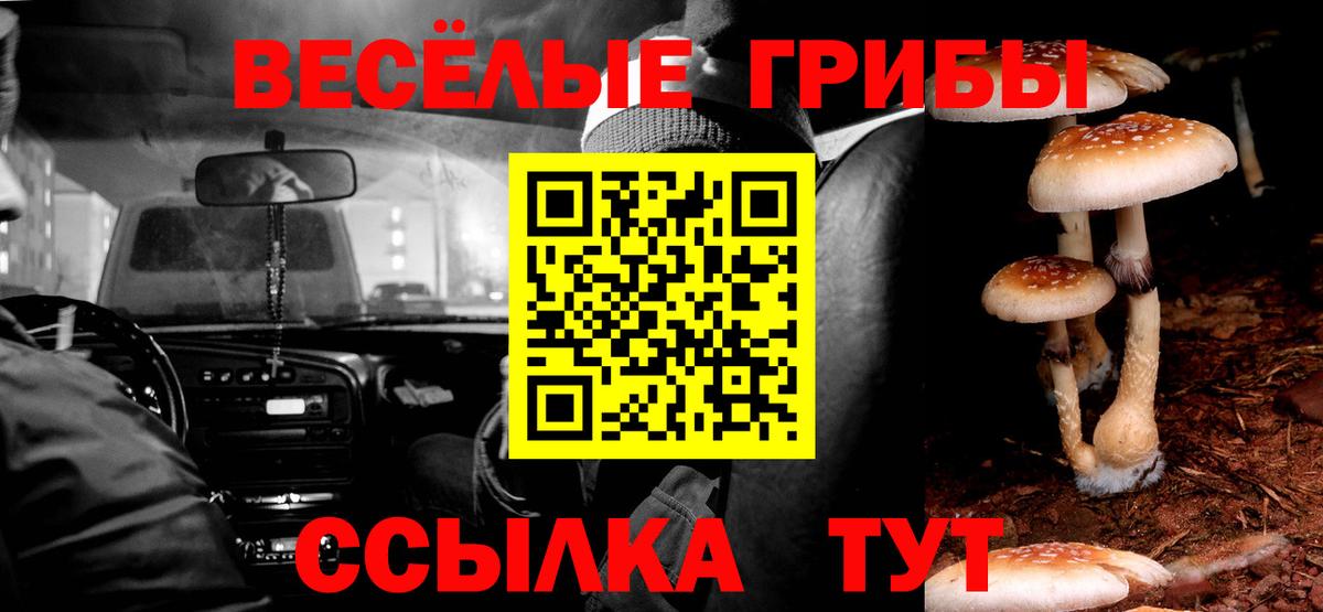 Гай  Псилоцибиновые грибы мухоморы  Вход с VPN 