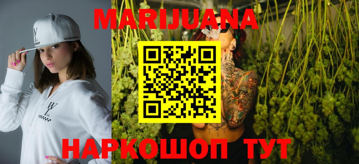 Канабис конопля Гай